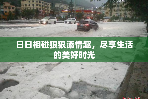 日日相碰狠狠添情趣，尽享生活的美好时光