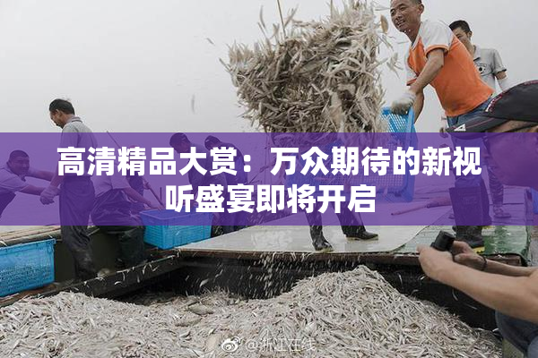 高清精品大赏：万众期待的新视听盛宴即将开启