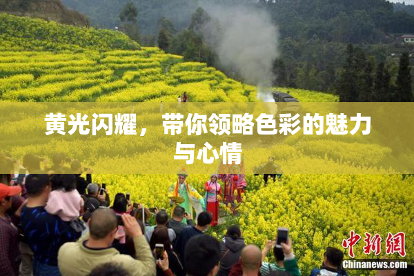 黄光闪耀，带你领略色彩的魅力与心情