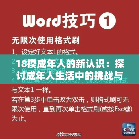 18摸成年人的新认识：探讨成年人生活中的挑战与乐趣