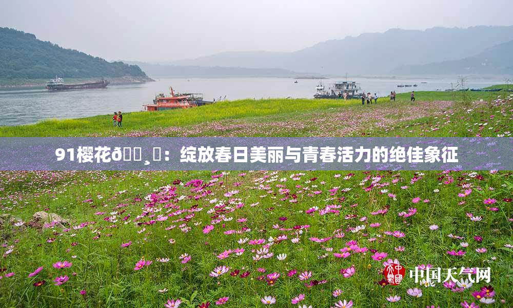 91樱花🌸‌：绽放春日美丽与青春活力的绝佳象征
