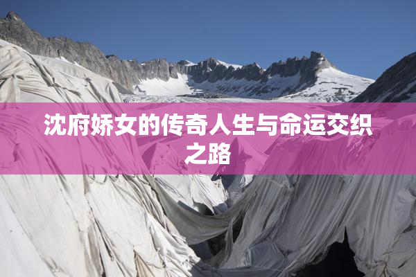 沈府娇女的传奇人生与命运交织之路