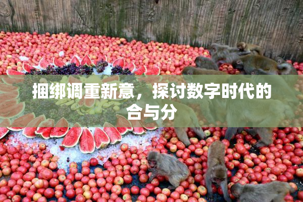 捆绑调重新意，探讨数字时代的合与分