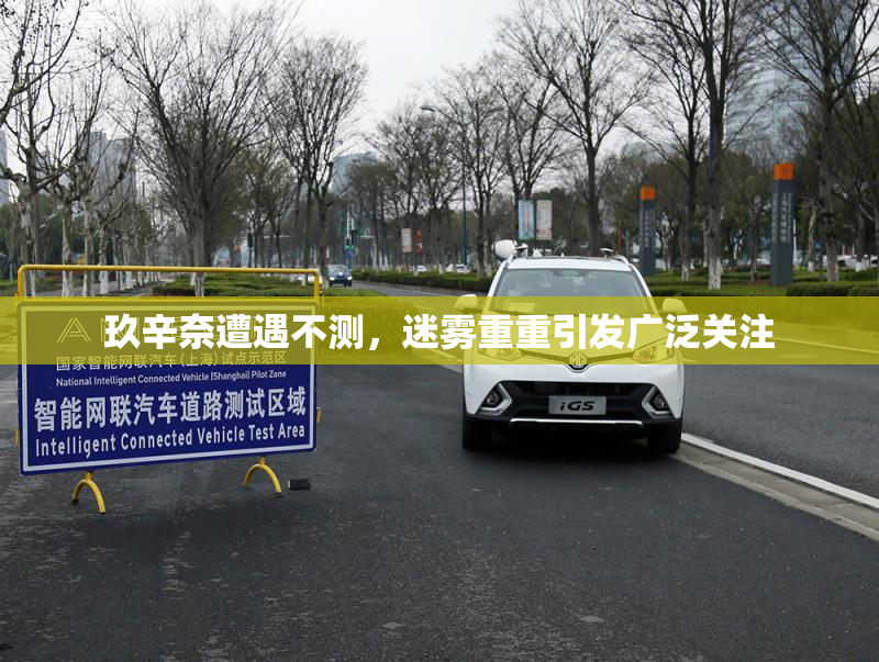 玖辛奈遭遇不测，迷雾重重引发广泛关注