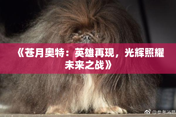 《苍月奥特：英雄再现，光辉照耀未来之战》