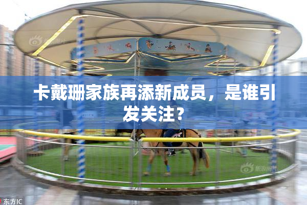 卡戴珊家族再添新成员，是谁引发关注？