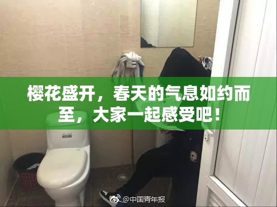 樱花盛开，春天的气息如约而至，大家一起感受吧！