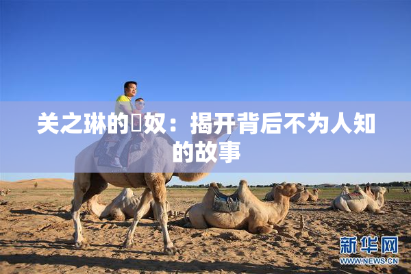 关之琳的婬奴：揭开背后不为人知的故事