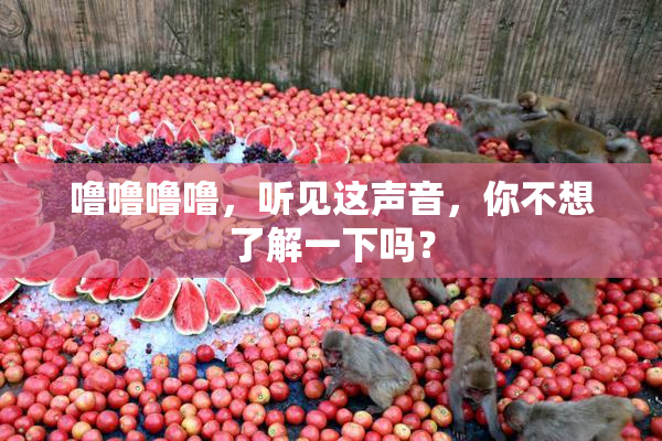 噜噜噜噜，听见这声音，你不想了解一下吗？