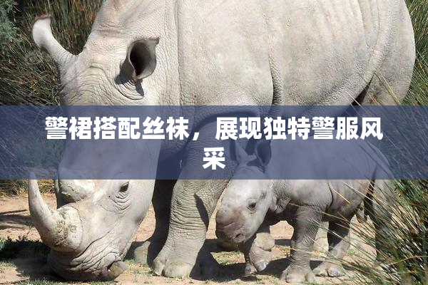 警裙搭配丝袜，展现独特警服风采