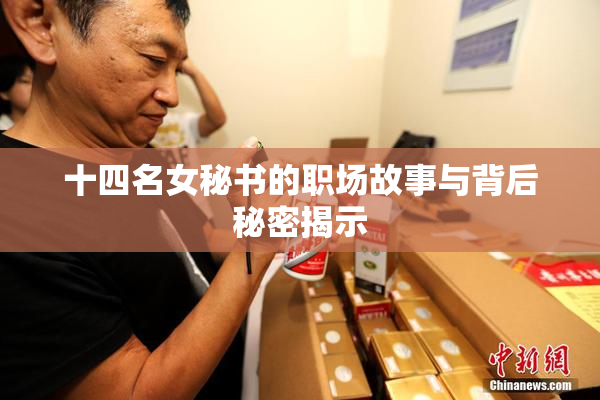 十四名女秘书的职场故事与背后秘密揭示