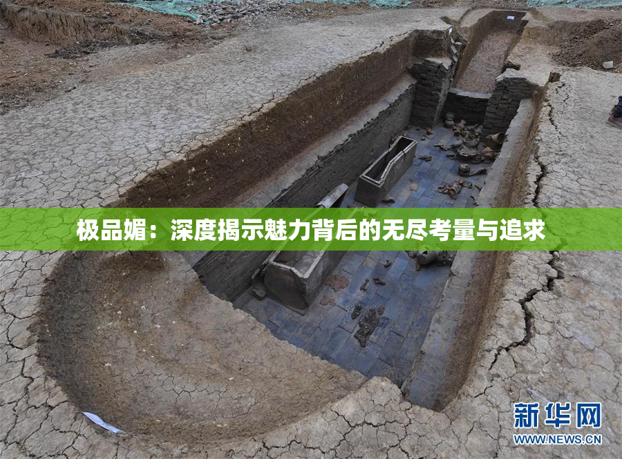极品媚：深度揭示魅力背后的无尽考量与追求
