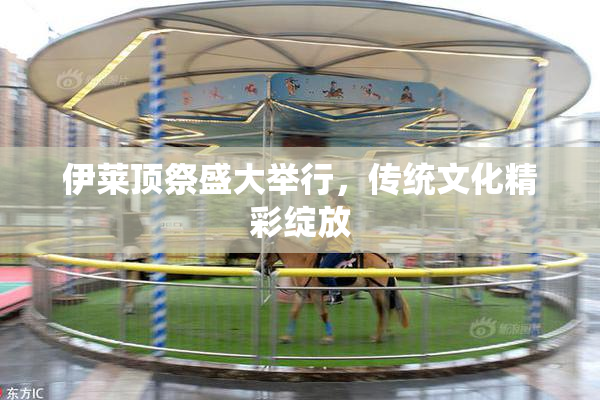 伊莱顶祭盛大举行，传统文化精彩绽放