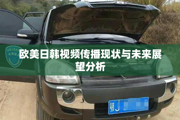 欧美日韩视频传播现状与未来展望分析
