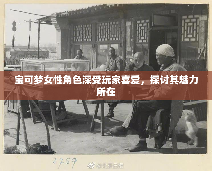 宝可梦女性角色深受玩家喜爱，探讨其魅力所在