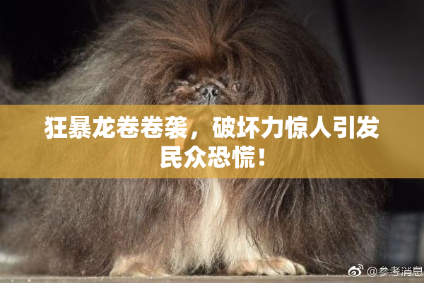 狂暴龙卷卷袭，破坏力惊人引发民众恐慌！