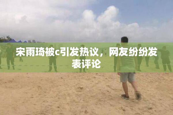 宋雨琦被c引发热议，网友纷纷发表评论