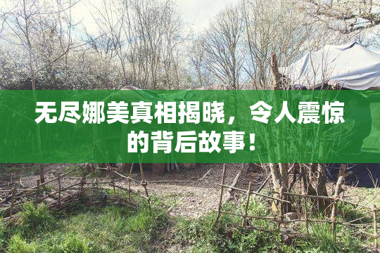 无尽娜美真相揭晓，令人震惊的背后故事！