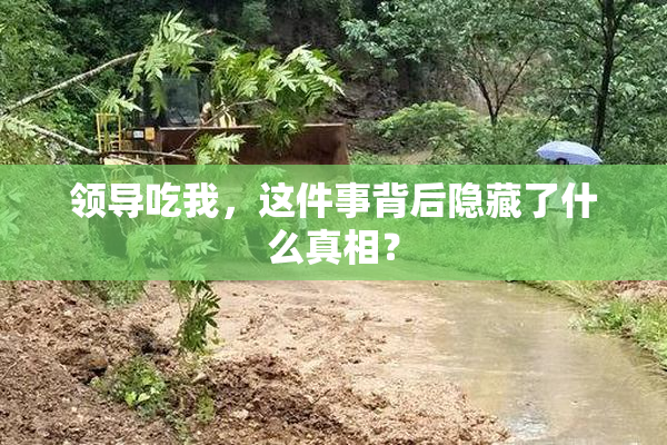 领导吃我，这件事背后隐藏了什么真相？