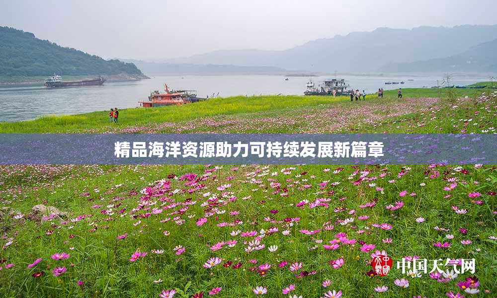 精品海洋资源助力可持续发展新篇章