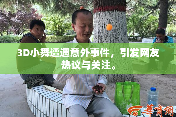 3D小舞遭遇意外事件，引发网友热议与关注。