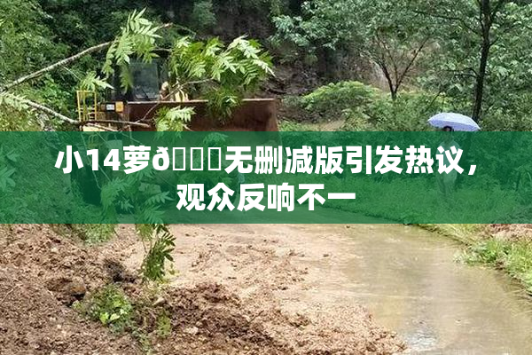 小14萝🔞无删减版引发热议，观众反响不一