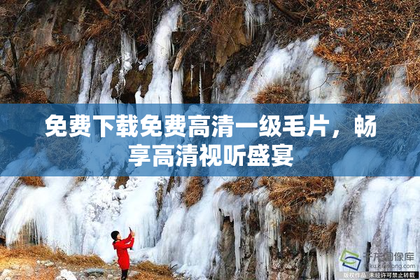 免费下载免费高清一级毛片，畅享高清视听盛宴