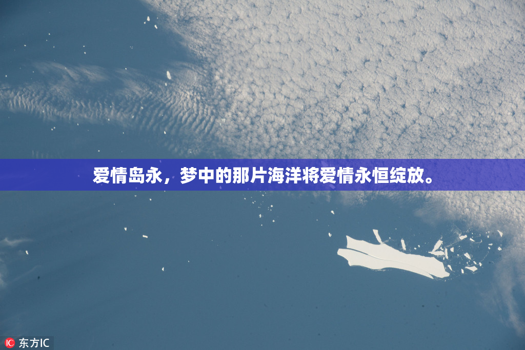 爱情岛永，梦中的那片海洋将爱情永恒绽放。