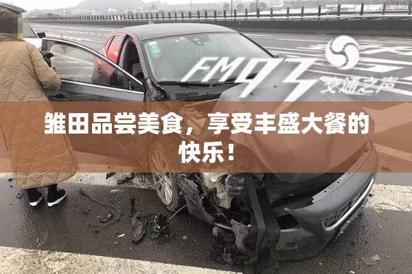 雏田品尝美食，享受丰盛大餐的快乐！