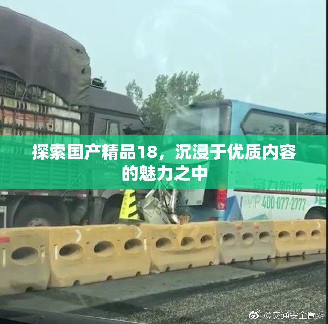 探索国产精品18，沉浸于优质内容的魅力之中