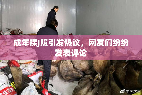成年裸J照引发热议，网友们纷纷发表评论