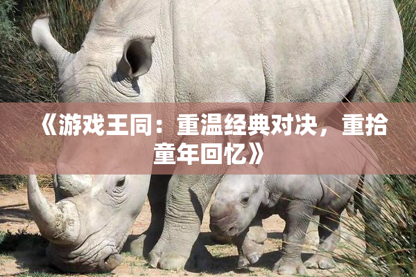 《游戏王同：重温经典对决，重拾童年回忆》