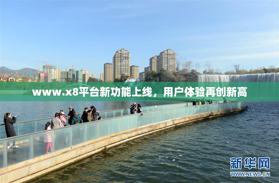 www.x8平台新功能上线，用户体验再创新高