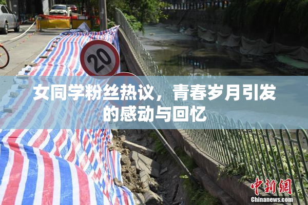 女同学粉丝热议，青春岁月引发的感动与回忆