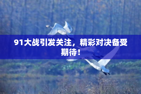 91大战引发关注，精彩对决备受期待！