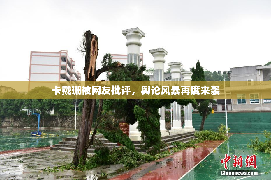 卡戴珊被网友批评，舆论风暴再度来袭