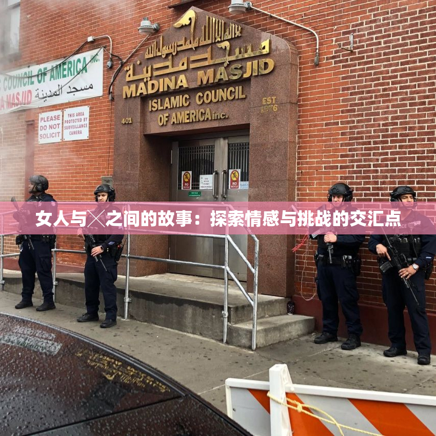 女人与╳之间的故事：探索情感与挑战的交汇点