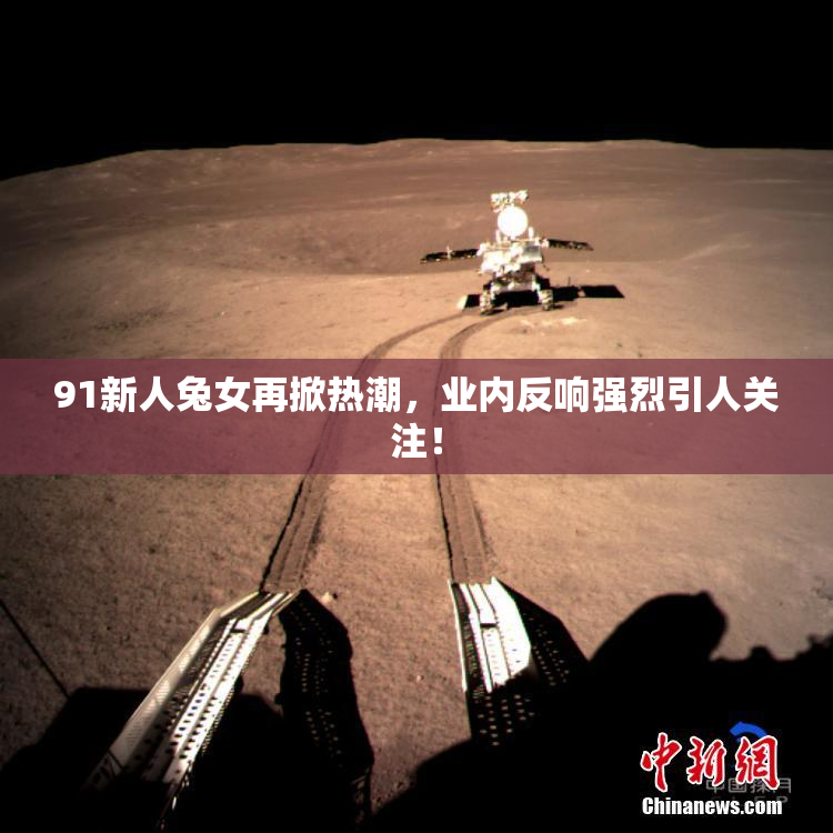 91新人兔女再掀热潮，业内反响强烈引人关注！