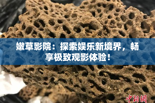 嫩草影院：探索娱乐新境界，畅享极致观影体验！