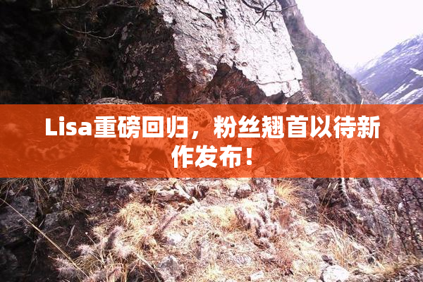 Lisa重磅回归，粉丝翘首以待新作发布！