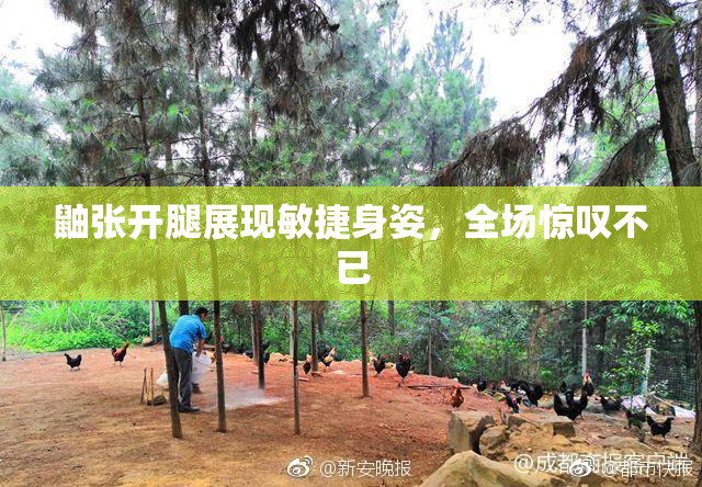 鼬张开腿展现敏捷身姿，全场惊叹不已