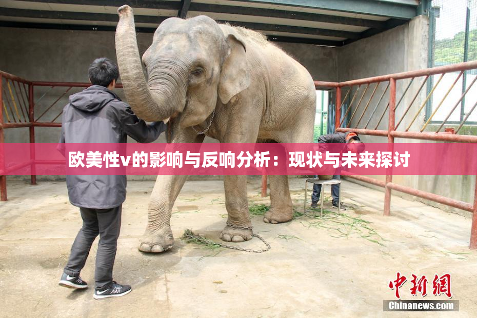 欧美性v的影响与反响分析：现状与未来探讨