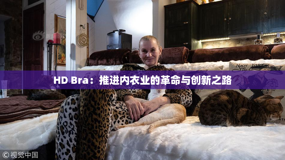 HD Bra：推进内衣业的革命与创新之路
