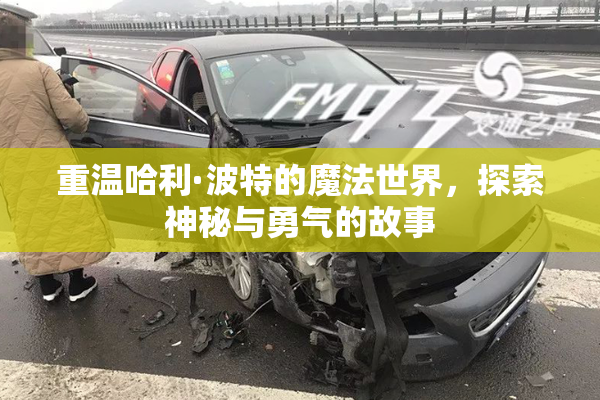 重温哈利·波特的魔法世界，探索神秘与勇气的故事