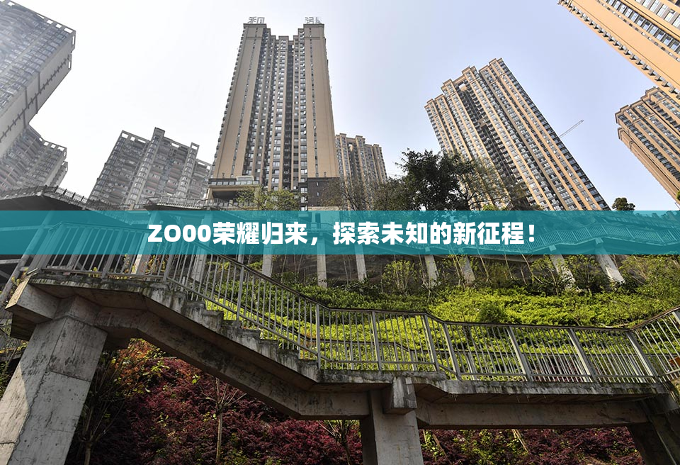 ZO00荣耀归来，探索未知的新征程！