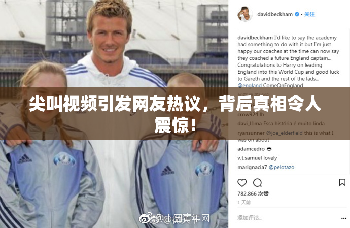 尖叫视频引发网友热议，背后真相令人震惊！