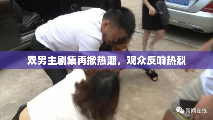 双男主剧集再掀热潮，观众反响热烈