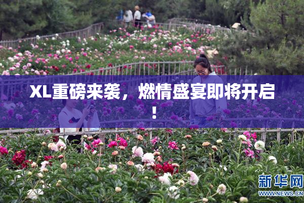 XL重磅来袭，燃情盛宴即将开启！
