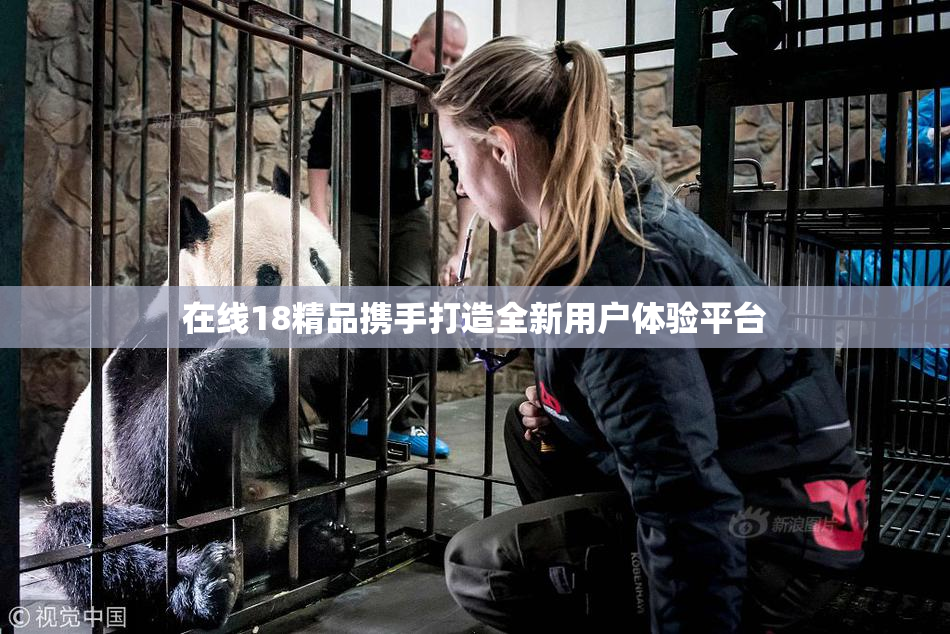 在线18精品携手打造全新用户体验平台