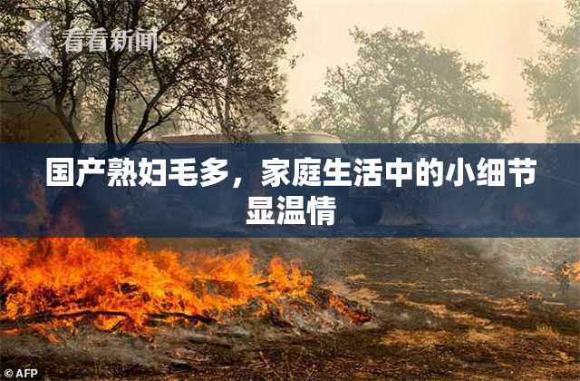 国产熟妇毛多，家庭生活中的小细节显温情